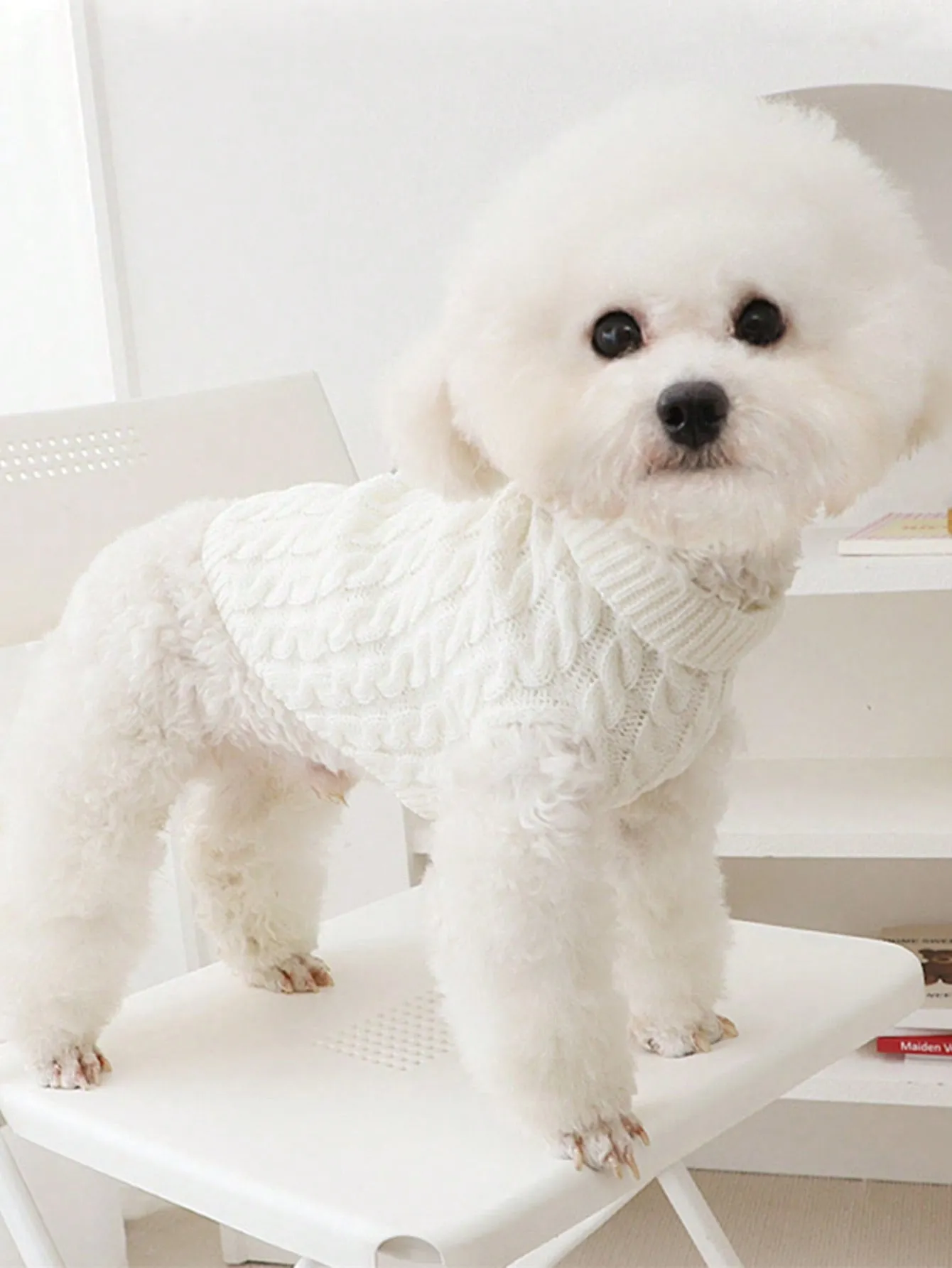 Cable knit sweater|1pc Knitted Cable Sweater For Pets, Solid Color