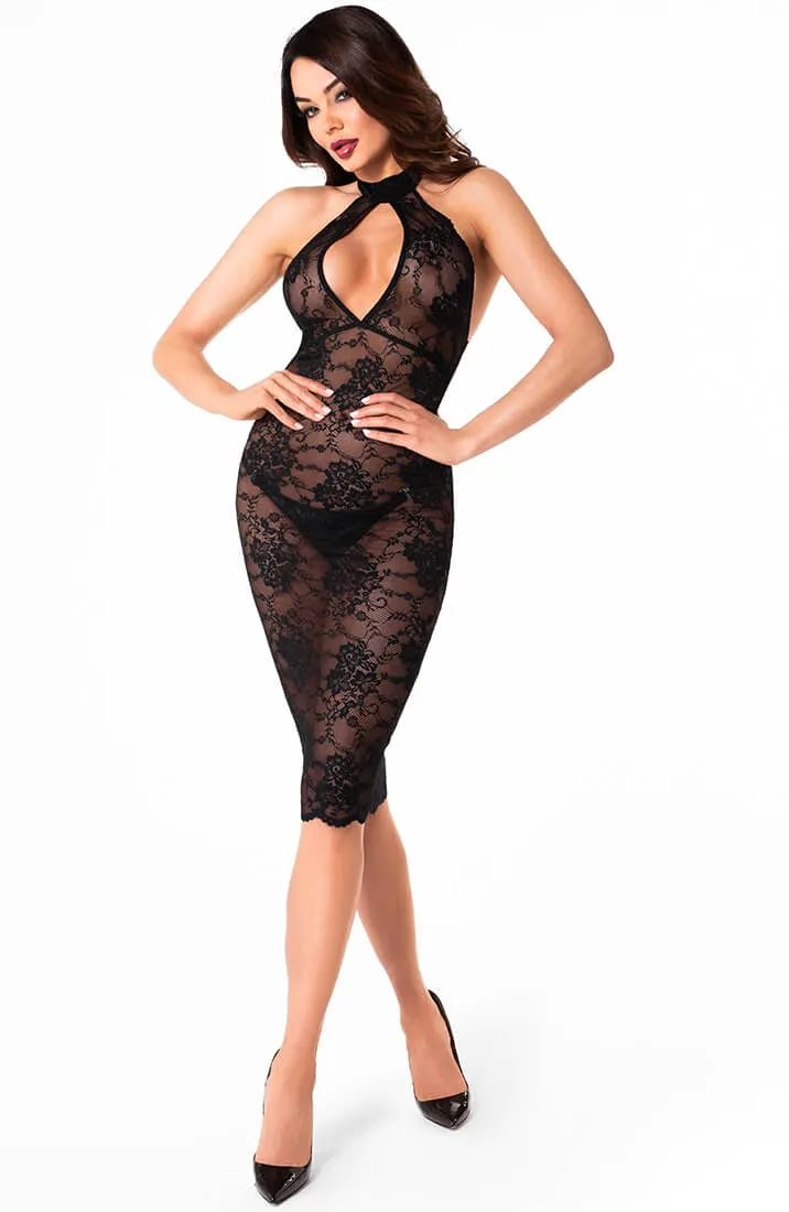 Lace bodycon halter dress - Heat of Submission