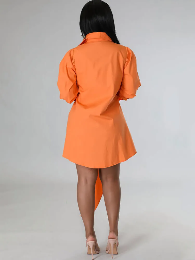 Long Sleeve Button Solid Shirt Dresses