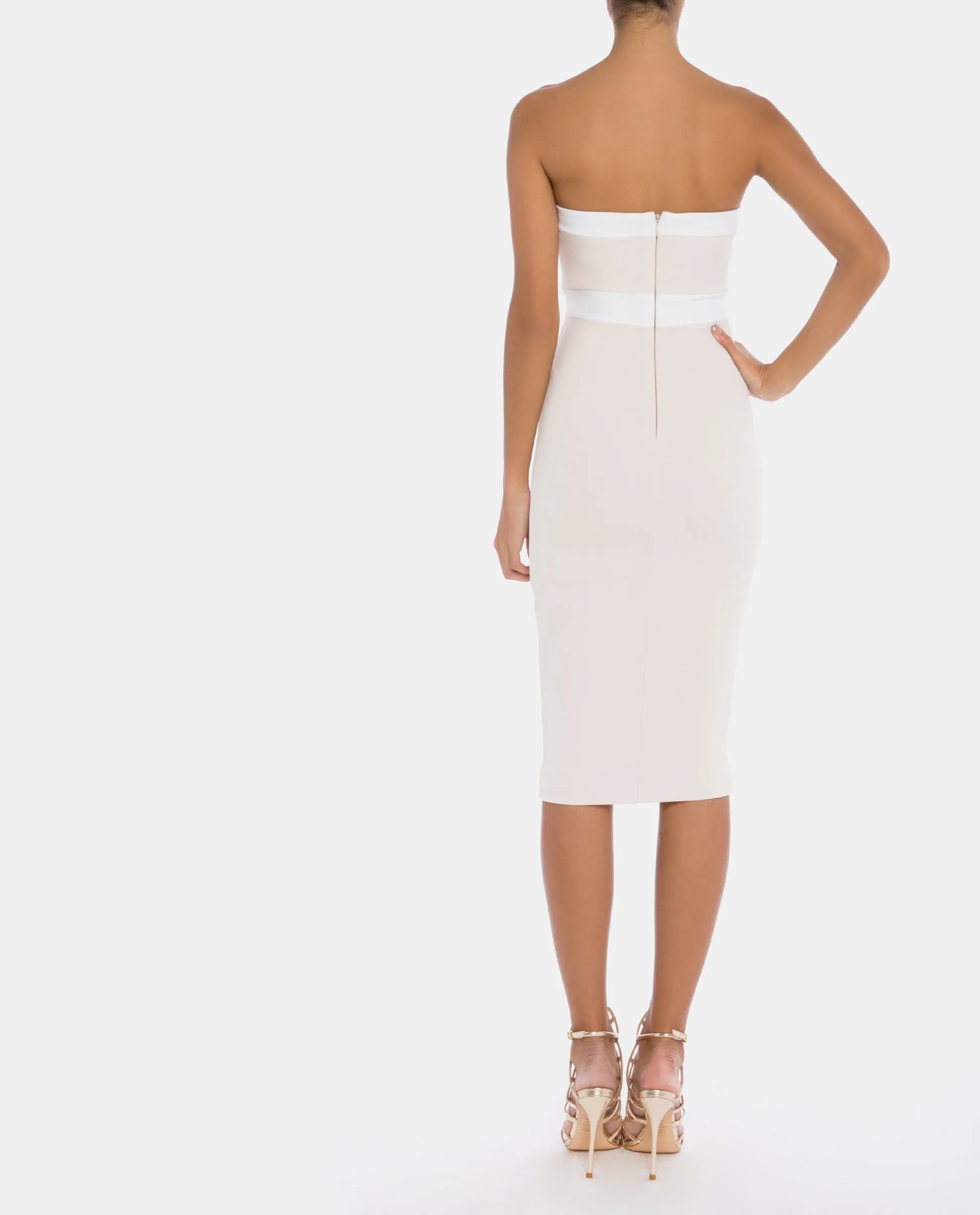 Sasha Strapless Dress